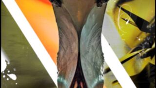 Thumbnail of post image 050