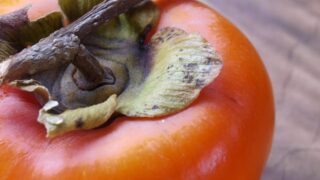 Thumbnail of post image 066